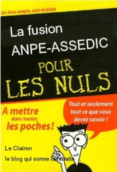 fusion-pour-les-nuls.1196439906.jpg