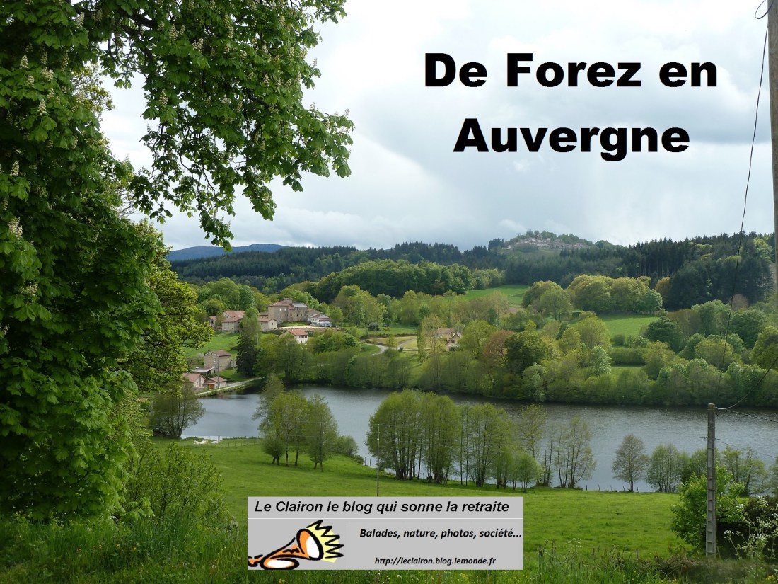 couverture forez