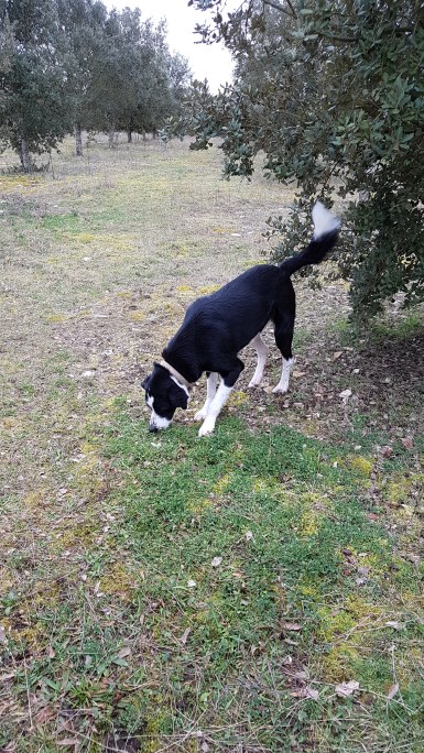 IMG_20180219_153713_553